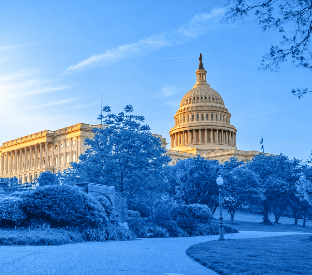 Government