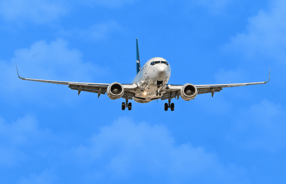 Travel and Hospitality